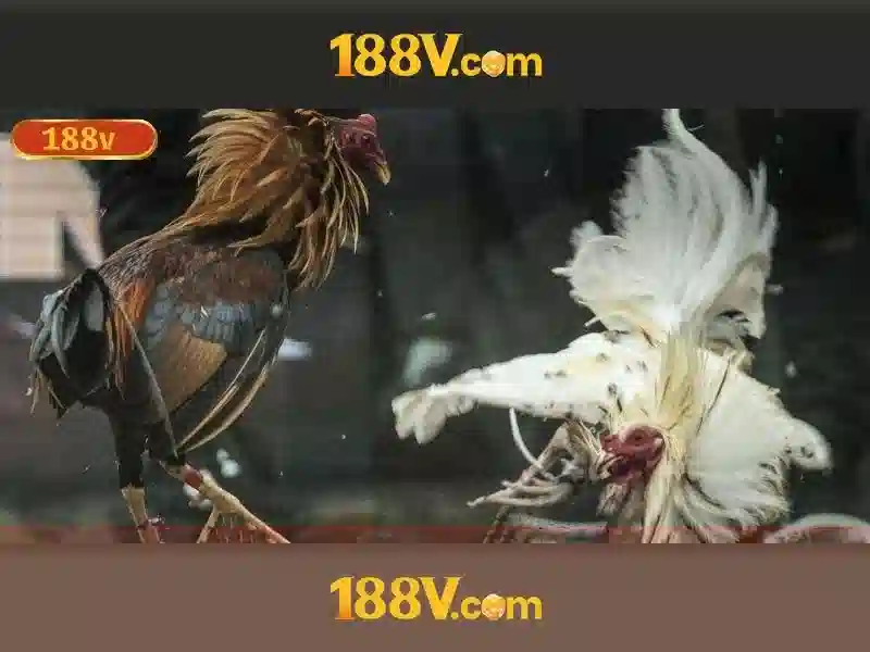 188v com – Nền tảng giải trí trực tuyến với trải nghiệm 188v vip