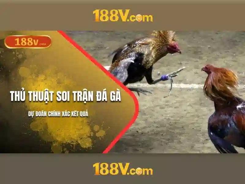 188v vom – Đột phá cùng 188v win và tai 188v