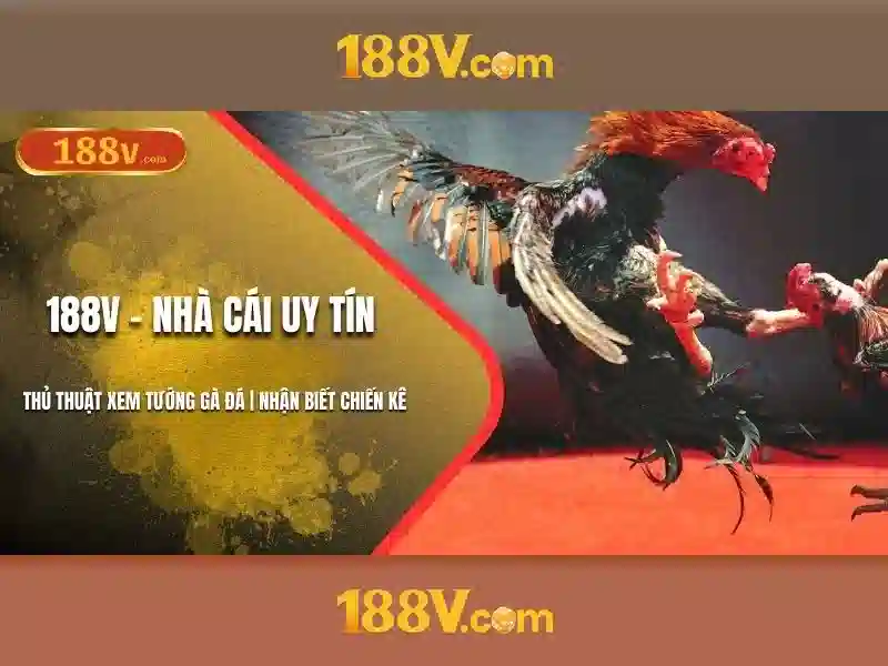188v: một hành trình số và sự sáng tạo