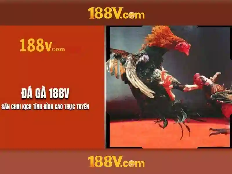 app 188v – Tổng quan và giá trị cốt lõi