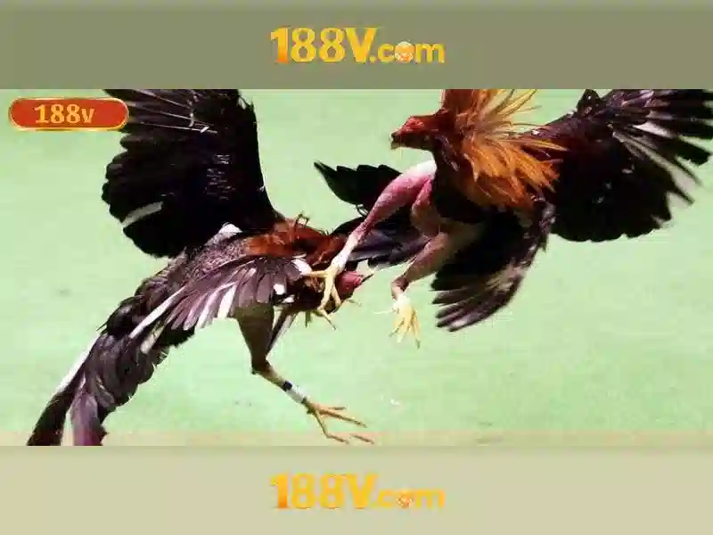 Khái niệm của 188V