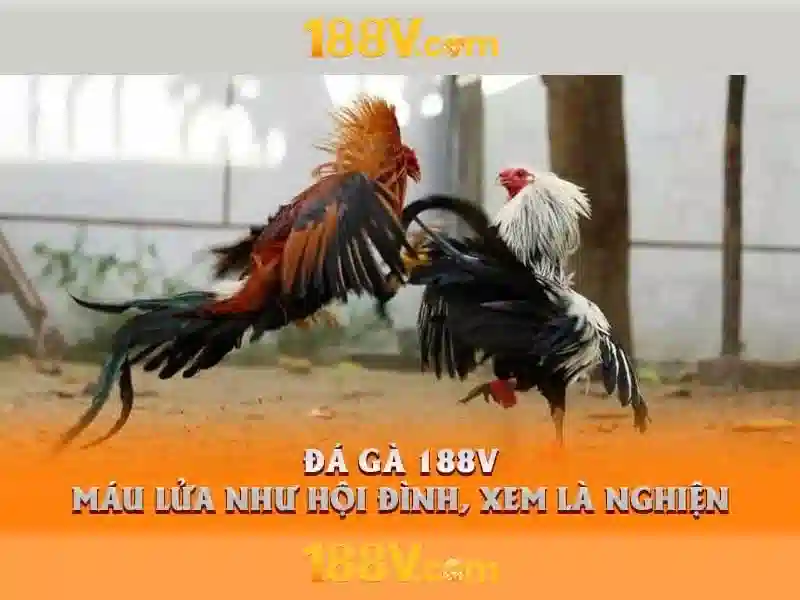 188v: Khái niệm, ứng dụng và tương lai