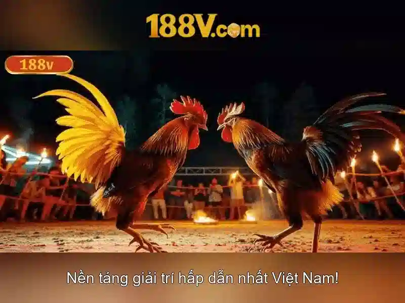 188v và nguồn cảm hứng
