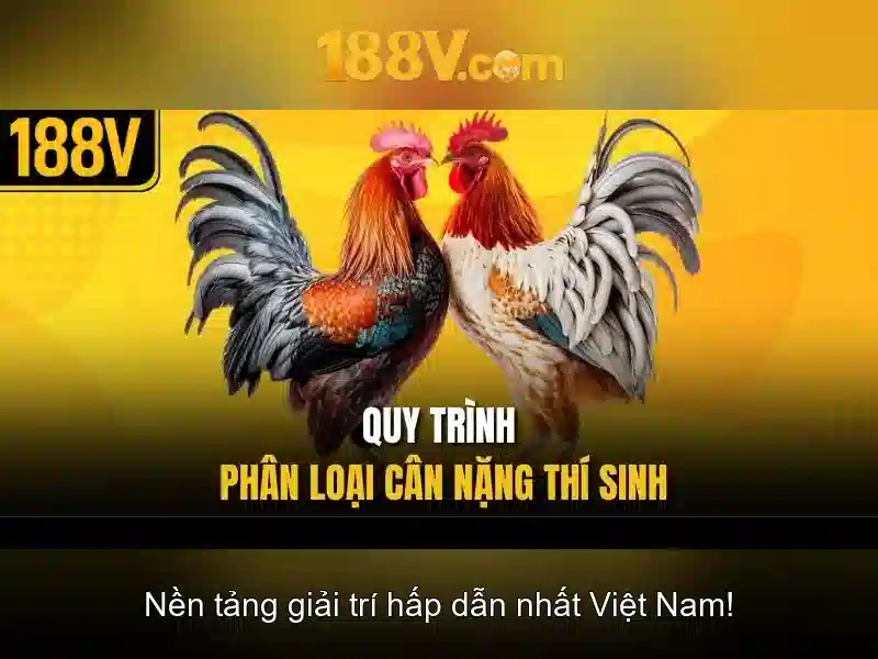 188V: Khái niệm, kỹ thuật và ứng dụng