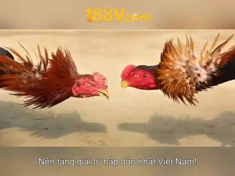 Khái niệm 188v và hành trình công nghệ
