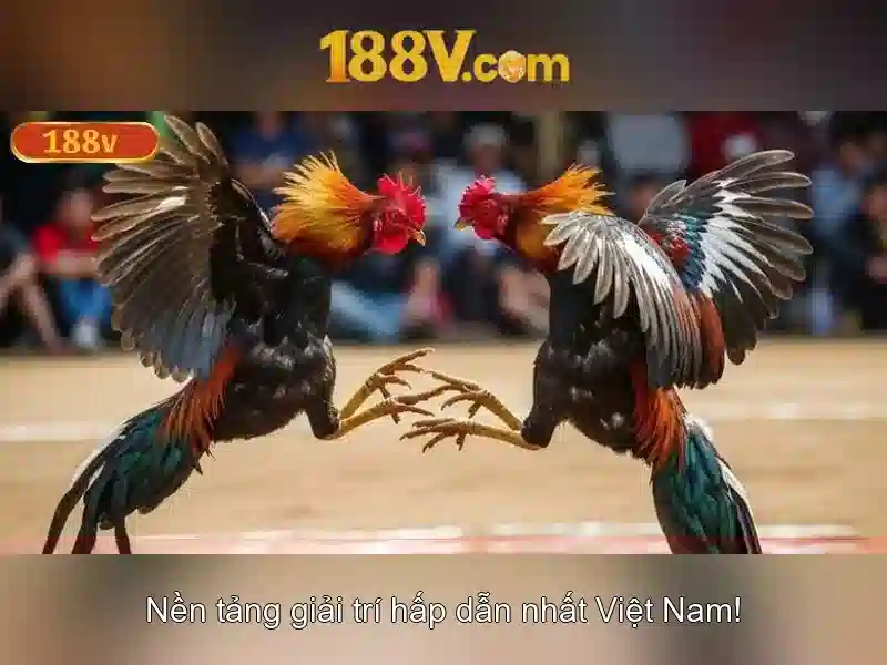 188v: Khái niệm, nguồn gốc và tiềm năng
