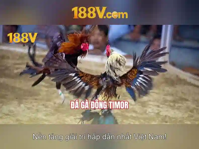 Ưu đãi 188v – Khám phá game 188v và 188v.com