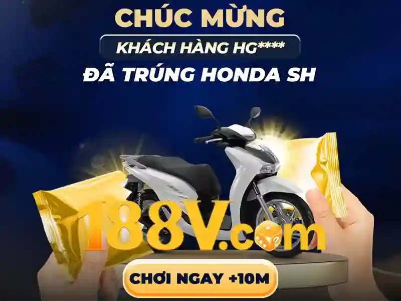Trách nhiệm người chơi